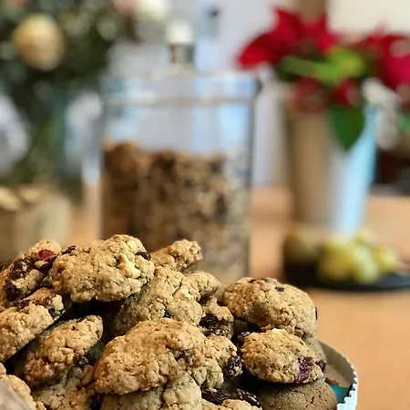 Bed & Breakfast Casa Blanca Bordeaux