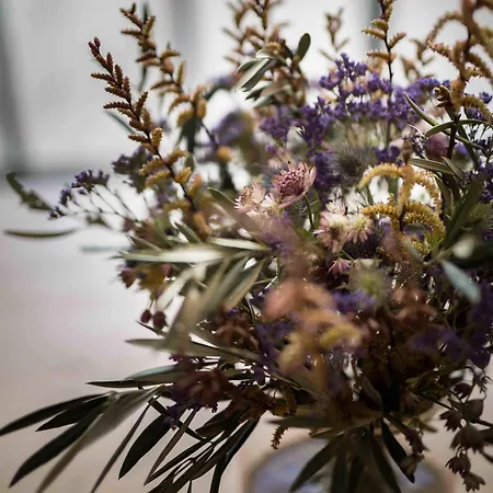 Bed & Breakfast Casa Blanca