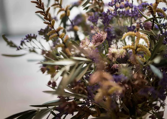 فندق مبيت وإفطار Casa Blanca